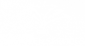 Pro Kleen Services Logo